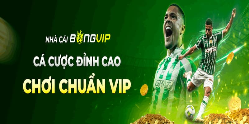 Bongvip - Nền tảng chơi uy tín được nhiều cược thủ săn đón
