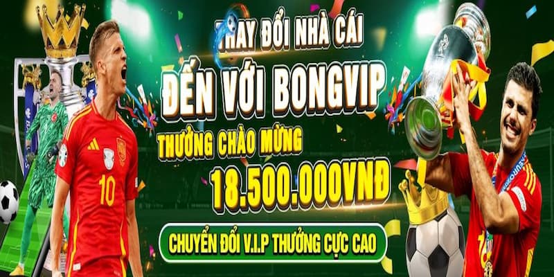 Bongvip - Tổng hợp đánh giá về nền tảng giải trí hàng đầu